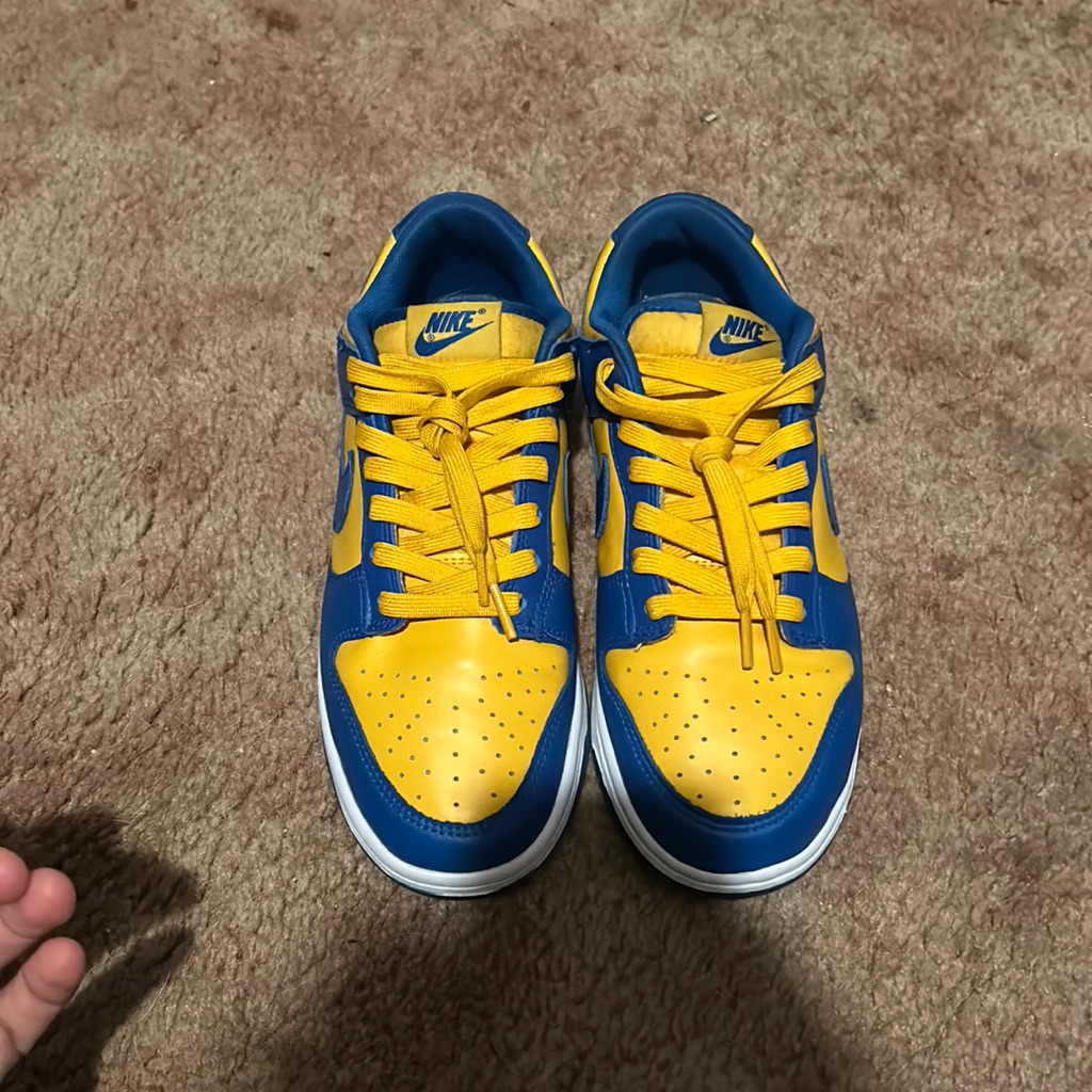 Ucla Dunks